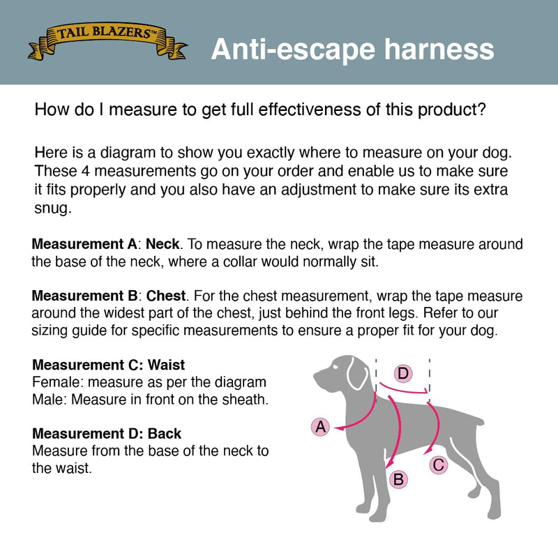 Anti-Escape Dog Harness. Adjustable No Pull, Reflective, Breathable, Padded. Ideal for Puppy Essentials. Small to XL Breeds, Perfect Collars, Harnesses & Leads for Dogs. (Blue, Small) Blue