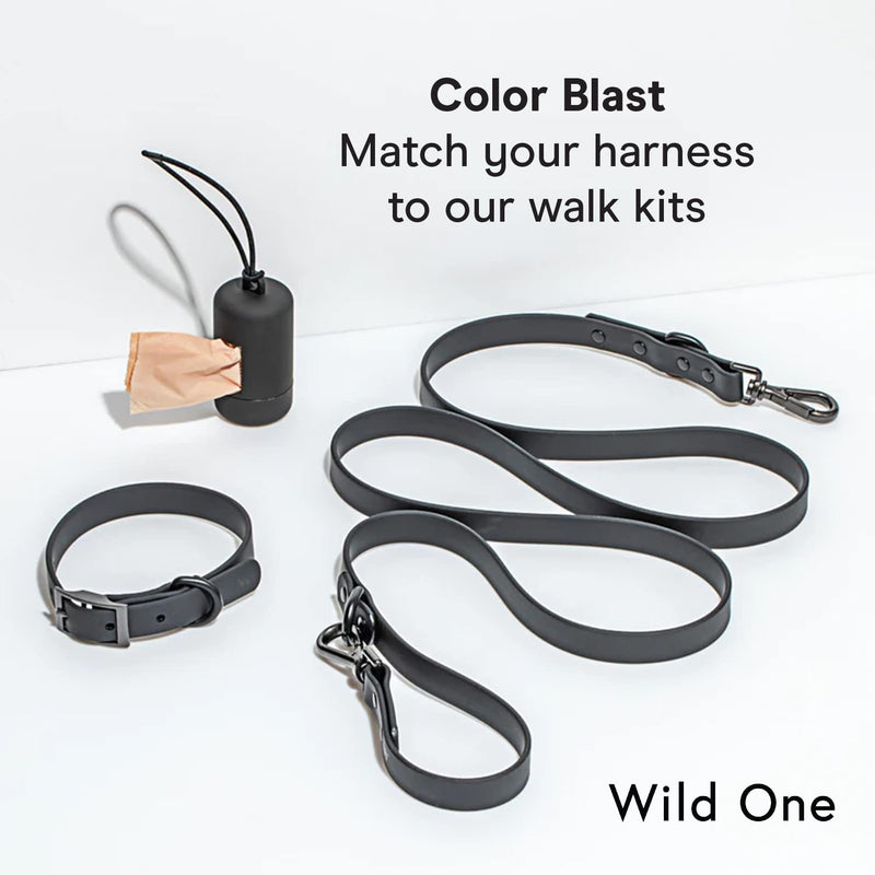 Wild One Dog Harness, The Original No-Pull, Pet Harness with 3 Leash Clips, Adjustable Soft Padded Vest, Comfortable, Stretchy, Size XS, Black Extra Small - PawsPlanet Australia