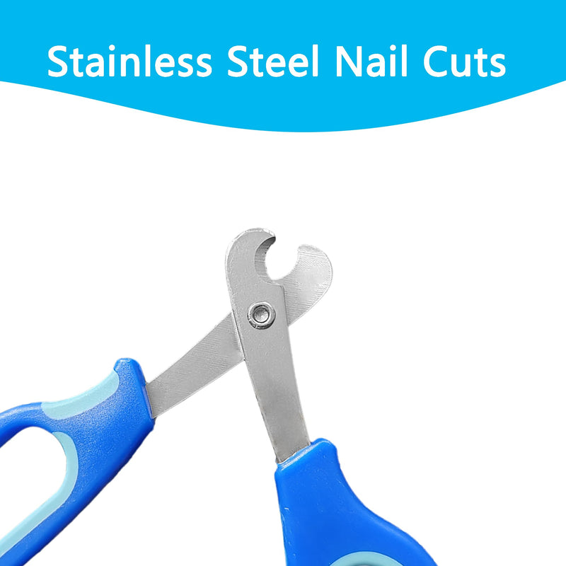 Bearded Dragon Nail Clippers with Nail File，Stainless Steel Bearded Dragon Toe Nail Clippers Professional Grooming Pet Tool for Small Breed Animals - PawsPlanet Australia