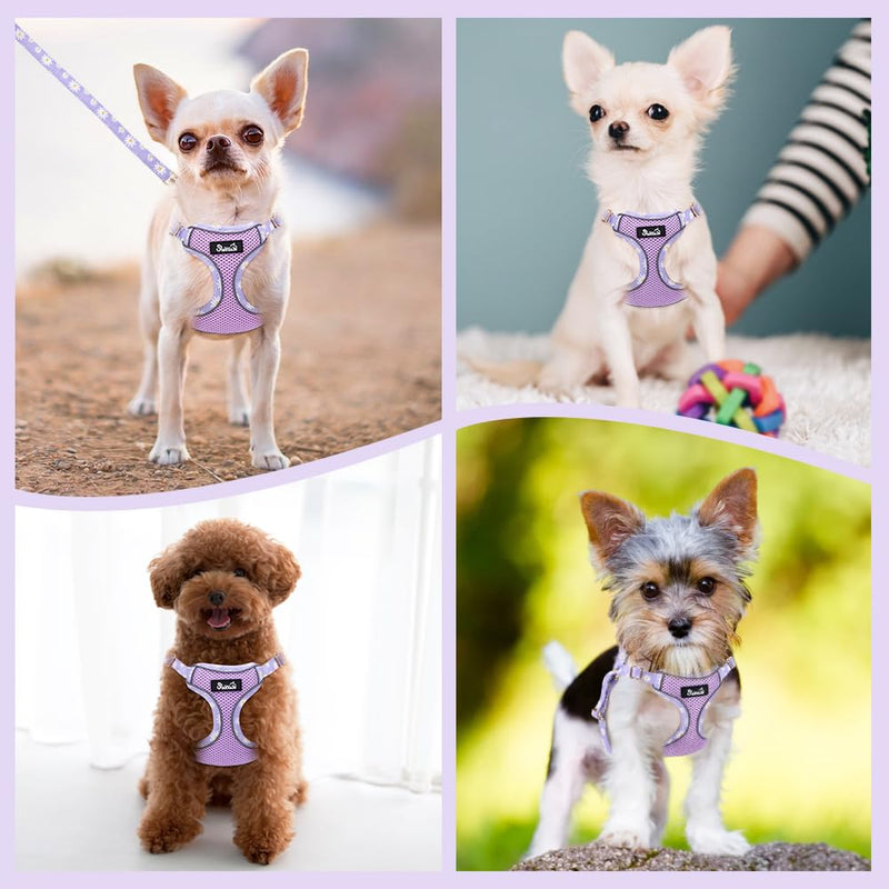 Lukovee No Pull Puppy Harness and Leash Set - Soft Lightweight Escape Proof Puppy Vest Harness, Breathable Adjustable Pet Harness with Dog Leash for Small Dogs (Purple, XXS) XX-Small (2.2-6 lb) Purple - PawsPlanet Australia
