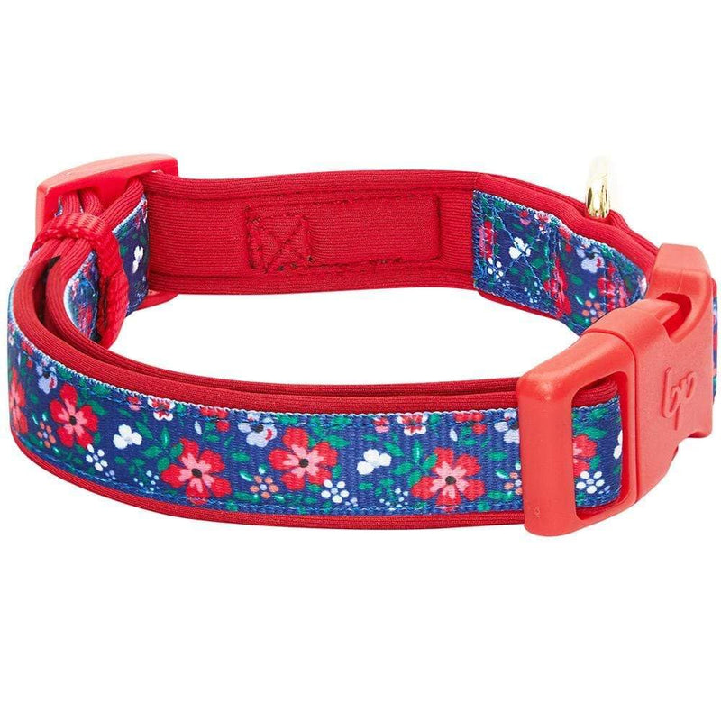 Blueberry Pet Soft & Comfy Pretty Posies Spring Garden Navy Padded Adjustable Dog Collar, Small, Neck 12"-16" - PawsPlanet Australia