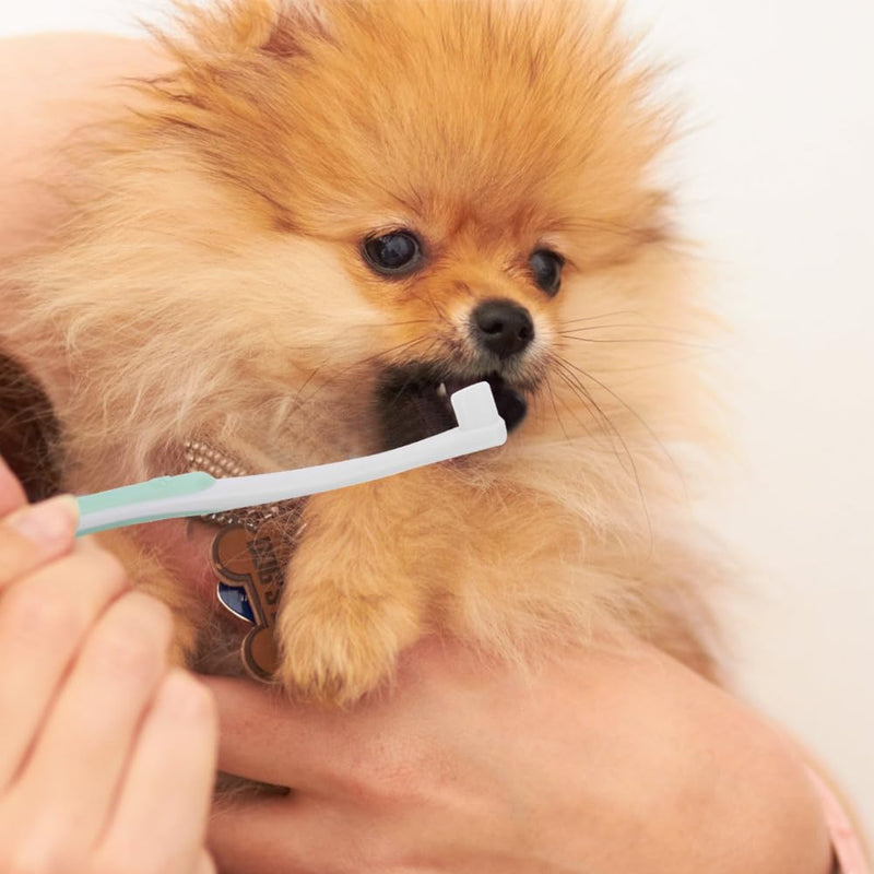 2 x Dog Toothbrush, Cat Toothbrush, Teeth Cleaning Brushes for Pets with 10,000 Ultra Soft Pet Bristles for Cats, Puppies, Small Dog Breeds, Sensitive Gums Blue + Purple