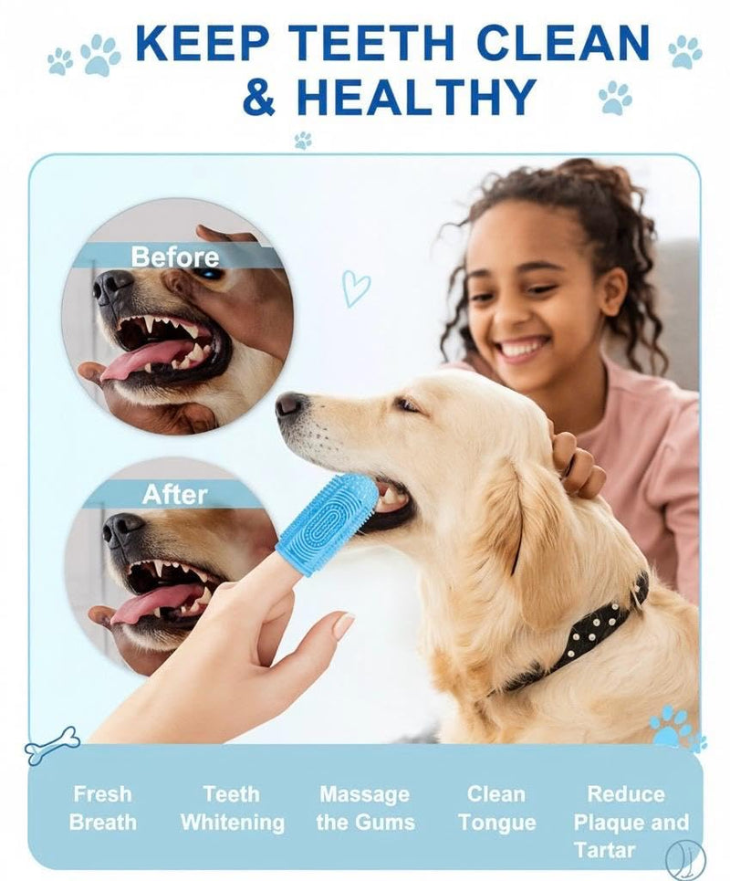 Dog Finger Toothbrush 4-Pack – Pet Tooth Brushing Kit for Dogs & Cats, Puppy & Adult Dental Care – Soft Silicone Finger Brushes for Teeth Cleaning (Blue, Green, Orange, Purple) - PawsPlanet Australia