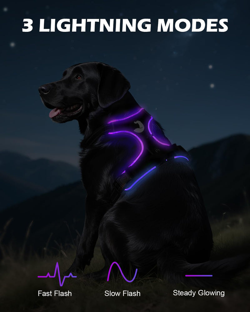 Joytale Light Up Dog Harness, No Pull Dog Harness USB Rechargeable for Night Walking with 3 Lightning Modes and Soft Handle, Adjustable Reflective Lighted Safety Vest,Black-Purple, L - PawsPlanet Australia
