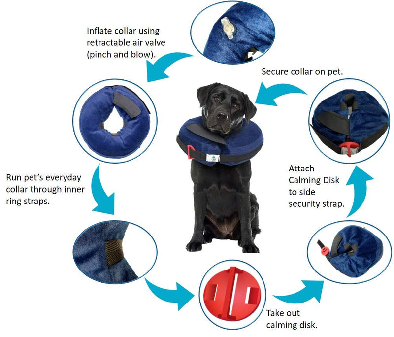 Protective Inflatable Collar Large w/Dog Calming Disc - PawsPlanet Australia