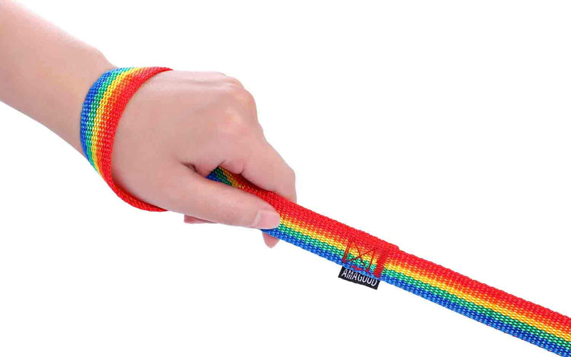 AMAGOOD 6 FT Puppy/ Dog Leash, Strong and Durable Traditional Style Leash with Easy to Use Collar Hook, Great for Small and Medium Dogs (3/4 in x 6 ft(Pack of 1), Rainbow) 3/4 in x 6 ft(Pack of 1) - PawsPlanet Australia