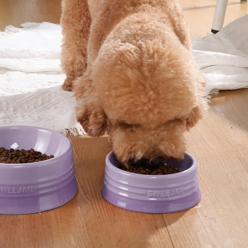 SWEEJAR Gradient Dog Bowl, Ceramic Dog Food Dish for Puppy and Large Dog, Porcelain Pet Bowl for Food and Water Small (8oz) Gradient Purple - PawsPlanet Australia