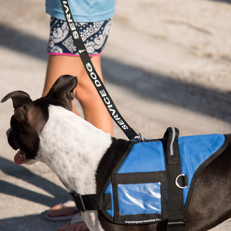 Service Dog Leash - Includes 5 Federal Law Handout Cards - Can Be Used with or Without a Service Dog Vest - PawsPlanet Australia