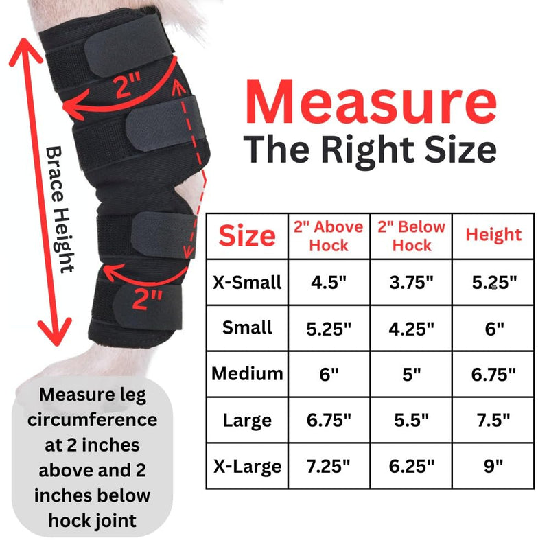 AGON® Dog Leg Braces for Back Leg wrap hock Compression Protects Wounds and Helps heal hind Legs Rear Ankle Joint, preventing Injuries, sprains Providing Stability for Dogs, Canines Arthritis (Large) Large - PawsPlanet Australia