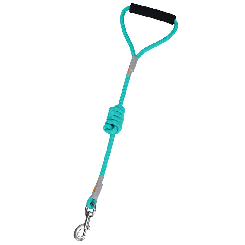 Dog Harness and Leash - Comfortable Leash and Harness for Small, Medium, Large Dogs - Perfect for Training, Includes D-Ring (S)HRN:Chest13.4~22.1/Neck12.2~20.5/LSH: 3.94 ft Harness+Leash:TiffanyBlue - PawsPlanet Australia