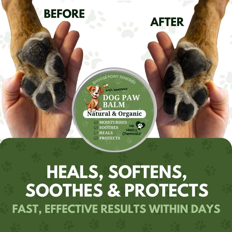Rhoose Point Remedies Dog Paw Balm - Softens, Heals, Soothes & Protects Dogs Paws, Noses & Skin. All Natural, Organic Ingredients. Lick-Safe Protection for Dogs with Beeswax (1 fl.oz - Starter Tin) 1 fl.oz - Starter Tin - PawsPlanet Australia