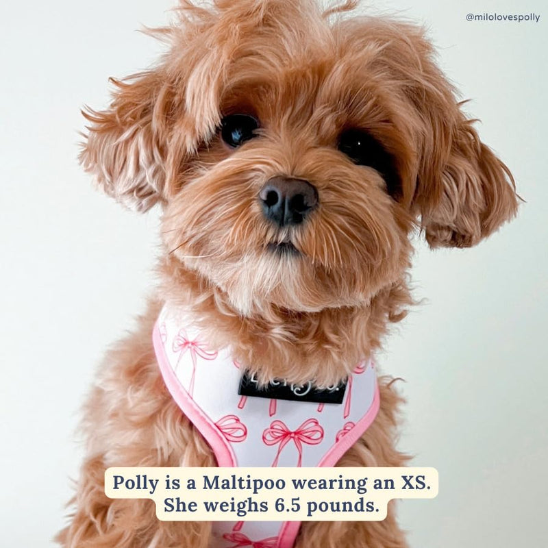 Lucy & Co. Cute Reversible Dog Harness Walking Halter - Best Designer Pet Harnesses for XS - XL Dogs - Padded Adjustable Vest for Easy Walking (Medium, Ballet Bows - White & Pink Bows) Medium The Take a Bow Dog Harness - PawsPlanet Australia