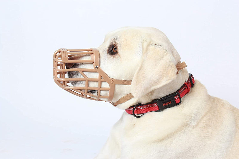 Safe BASKERVILLE ANTI SCAVENGE MUZZLE, Size 8, Dog can Pant and Drink, Prevents Biting and Food Waste Scavenging, Ideal for Longer Nosed Dogs, Breathable Dog Training Muzzle for Medium & Large Dogs - PawsPlanet Australia