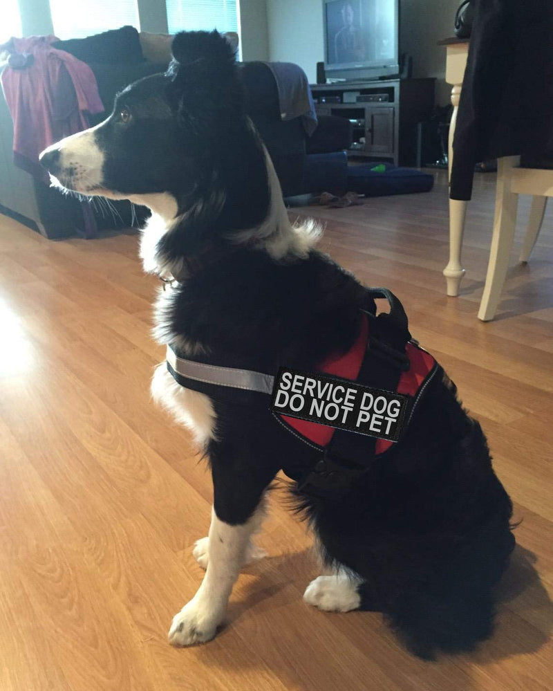 Doggie Stylz Service Dog Harness Vest Comes with 2 Reflective Service Dog DO NOT PET Removable Patches. Please Measure Dog Before Ordering (Girth 28-38", Red) Girth 28-38" - PawsPlanet Australia