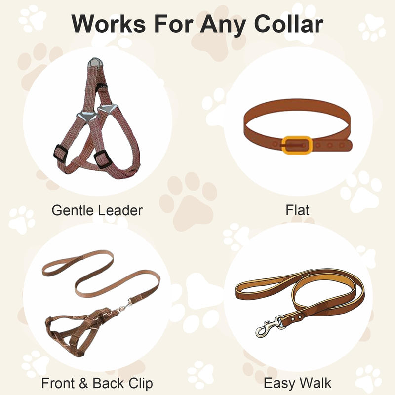 2Pcs Dog Collar Safety Clip Adjustable Double Ended Backup Clasp Leash Connector Gentle Leader for Dogs Suitable Dog Harness Small Dogs Collar Walking Running Training Travel (Black) Black - PawsPlanet Australia