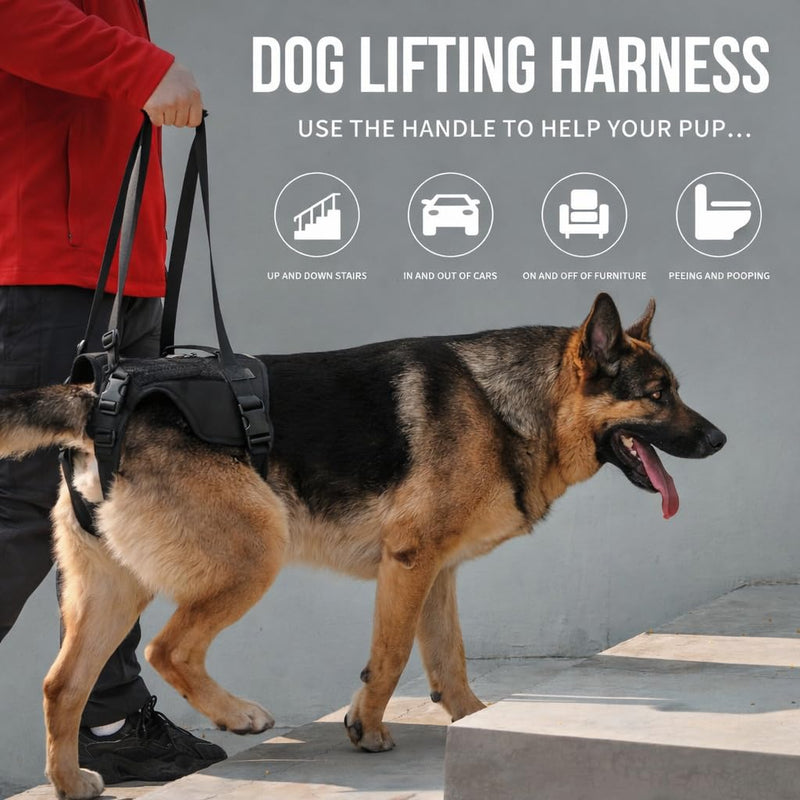 Dog Lift Harness for Large Dogs, Rear Leg Support Sling with Handle for Injury Recovery, Post-Surgery Rehab, Senior Dogs(M) M