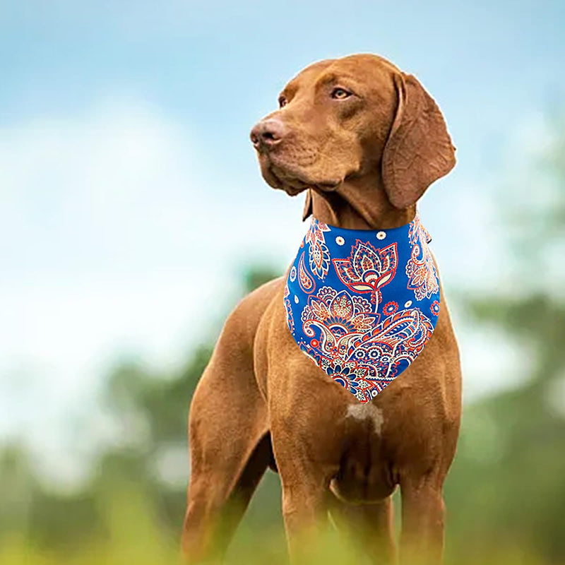 30 Pack Dog Bandanas Paisley Bulk Extral Large XL Dogs Breed Bandanas Adjustable Polyester Print One Side Triangle Bandana Girl Boy Grooming L 30Pcs Paisley -Large - PawsPlanet Australia