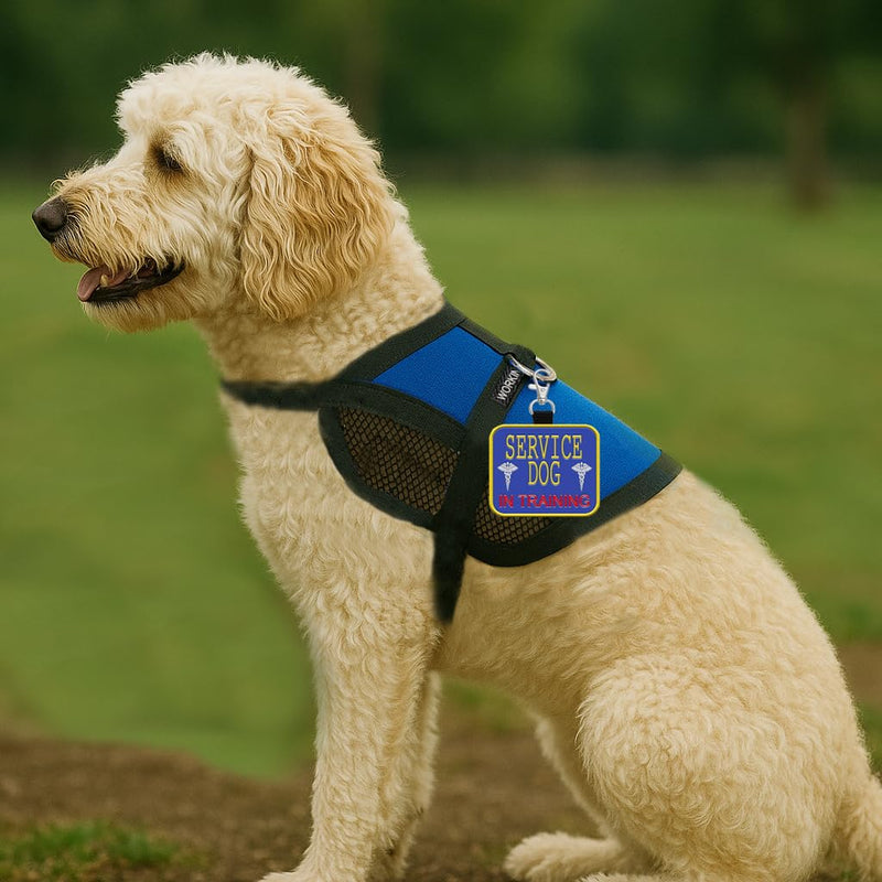 Service Dog in Training Clip-On ID Patch Tag - Includes 5 Federal Law Handout Cards - Clips to Vest, Harness, Collar, Leash, or Carrier - PawsPlanet Australia