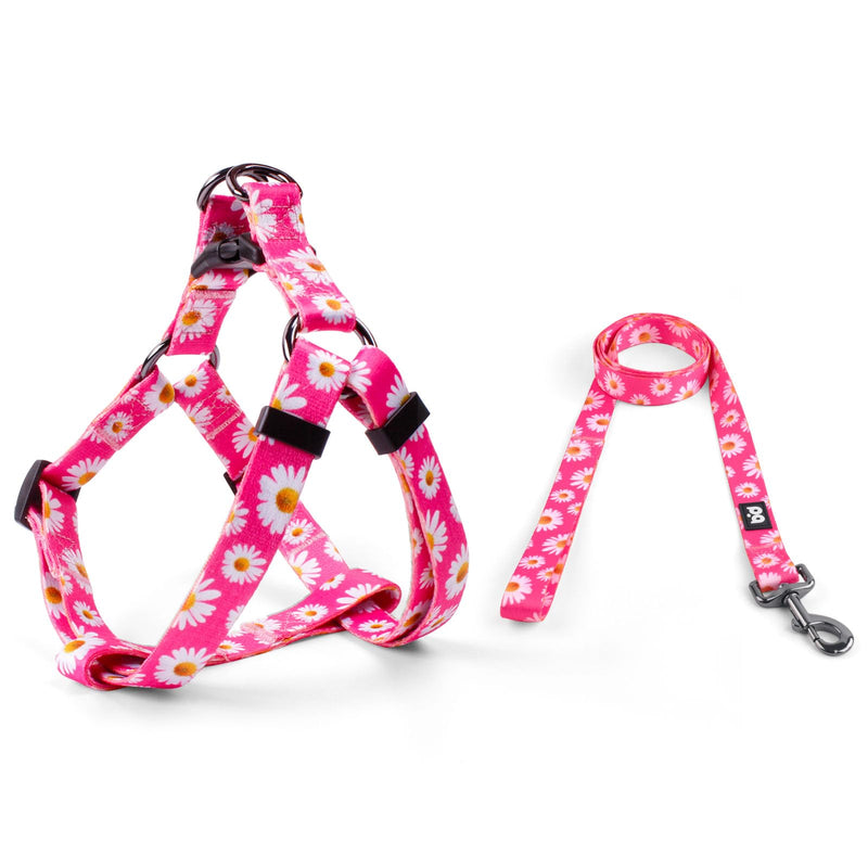 QQPETS Dog Harness Leash Set Adjustable Heavy Duty No Pull Halter Harnesses for Small Medium Large Breed Dogs Back Clip Anti-Twist Perfect for Walking (XS(12"-18" Chest Girth), Daisy) XS(12"-18" Chest Girth) - PawsPlanet Australia