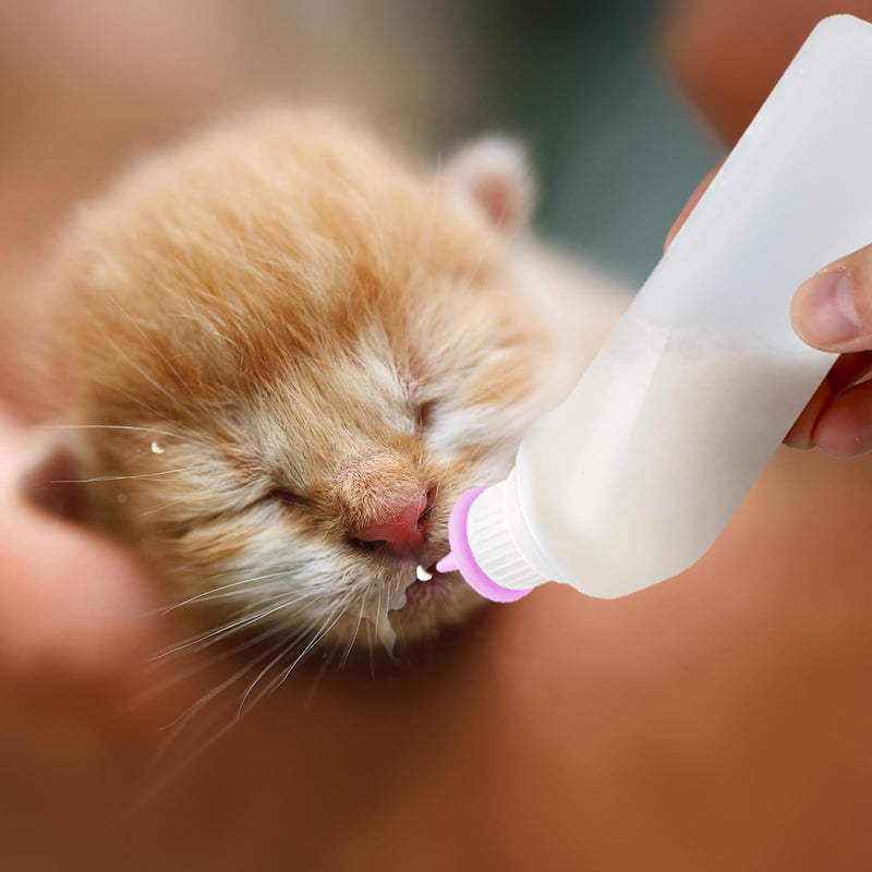 5Pack Kitten Bottle for Nursing Puppy Milk Kitten Bottles Feeding Kit Silicone Nipple for Newborn Pets Kittens, Puppy,Squirrel (Pink) - PawsPlanet Australia