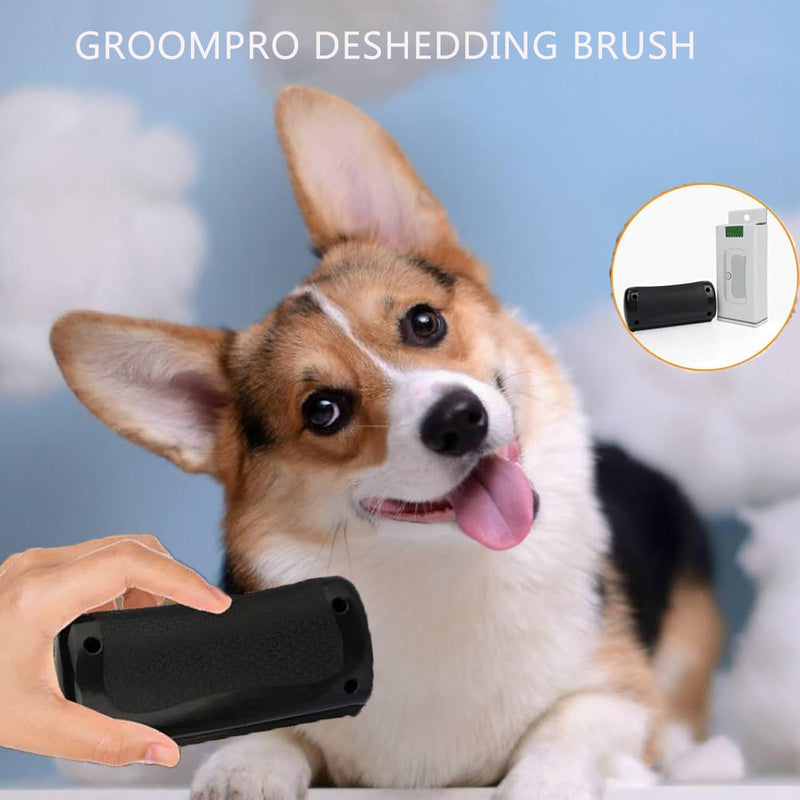 Groompro Deshedding Brush for Pets – Rhykin Shedding & Grooming Tool for Cats, Dogs, Rabbits, and Horses – Effective Pet Hair Removal Supply - PawsPlanet Australia