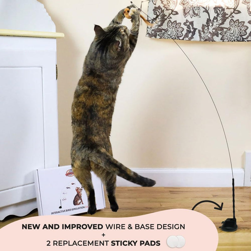 Interactive Bird Simulation Cat Toy Set, Interactive Cat Toys for Indoor Cats, Cat Feather Toy, Self-Holding Suction Base, 5 Replacement Birds, Feathers & Bells, Realistic Bird Impression Bird Toy Set With 5 Birds - PawsPlanet Australia