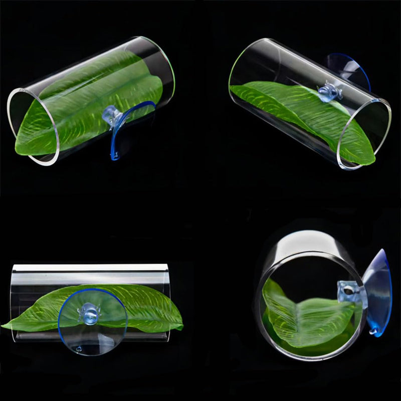 6PCS Betta Fish Aquarium Decoration, Betta Fish Leaf Pad + Fish Feeding Ring+ Betta Fish Acrylic Tube Tunnel,Hideout Ornament for Fish Tank Aquarium Decor 6 pcs - PawsPlanet Australia