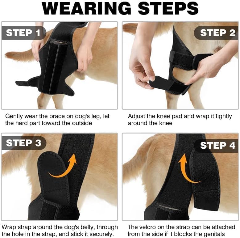 Dog Knee Brace Leg Braces - Dog Canine Knee Stifle Brace Wrap Dog Knee Brace for Torn ACL Hind Leg Joint Pain Muscle Sore Pet Brace Reduces Pain and Inflammation (S) S - PawsPlanet Australia