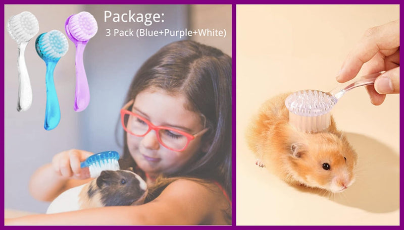 3PC Small Animal Bath Brush with Lid Soft Cleansing Brush Massage Combs for Hedgehog Guinea Pig Rabbit Chinchilla Ferret Small Animal Grooming Tool Cleaning Supplies - PawsPlanet Australia