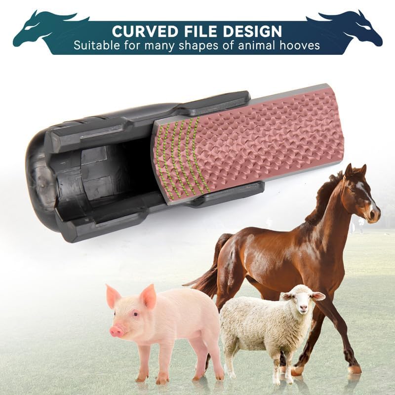 Farrier Hoof Rasp File Arc Shape Ergonomic Handle Hoof Trimming Tool with Fine Teeth Option for Repairing Pony, Goat, Horse, Pig, and Other Animal Hooves Coarse & Fine Teeth - PawsPlanet Australia