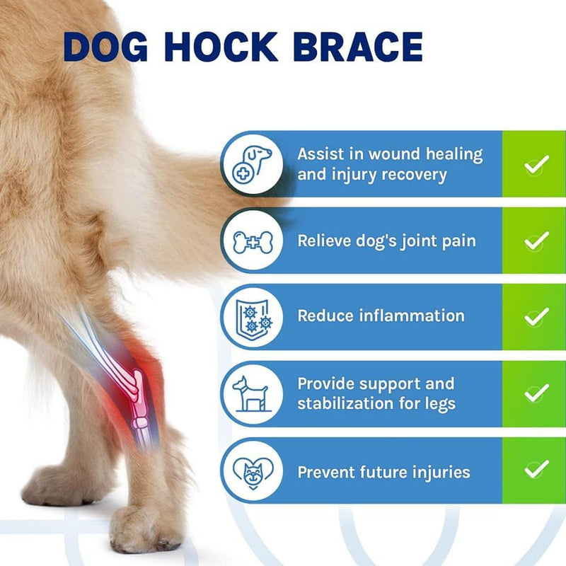 Coodeo Powerful Dog Canine Rear Leg Hock Joint Brace with Metal Spring Strips, Strengthen Support Dog Back Leg Compression Wrap, Help Dogs with Injuries, Sprains, Arthritis, Rheumatism Walk (M, Black) Medium - PawsPlanet Australia