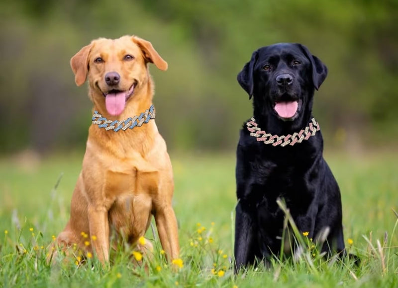 Pink Dog Chain Collar, Dog Necklaces Diamond Cuban Link Dog Collar Rhinestone Bling Glitter Metal Choke,Pet Jewelry for Puppy Small Medium Large Dogs (Pink 20inch) Pink 20 Inch - PawsPlanet Australia