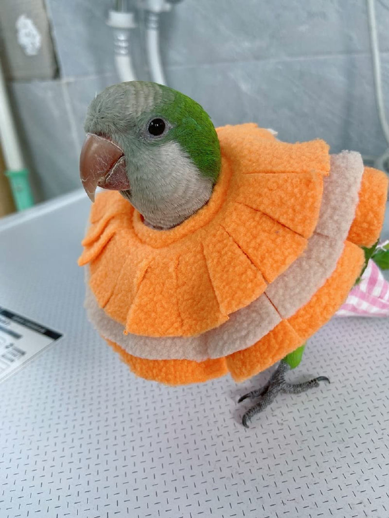 Adjustable Parrot Cone Collar, Safe and Practical Cotton Collar to Prevent Bites and Licking Wounds, to Help heal (5XL) 5XL - PawsPlanet Australia