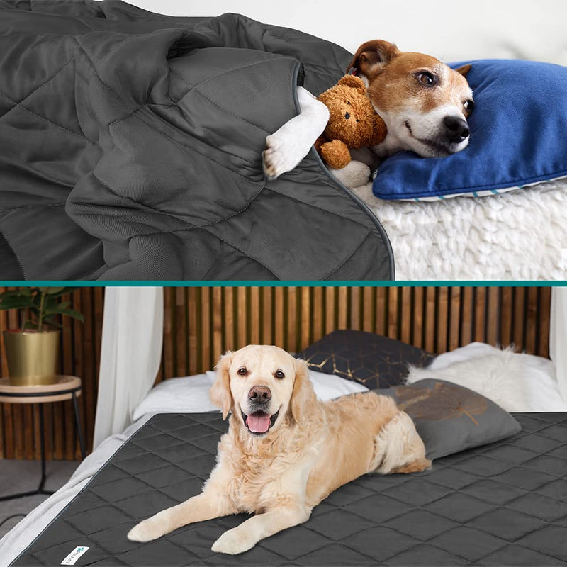 PetAmi Premium Cooling Dog Blanket | Lightweight Fluffy Pet Throw Blanket Bed Cover for Dogs, Cat, Puppies | Pet Blanket Furniture Protector Couch Sofa | Reversible Fuzzy Cozy | 24x32, Grey Small (24x32) - PawsPlanet Australia