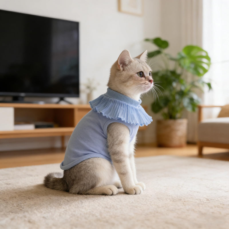 Homoyoyo Recovery Suit for Cats made of Elastic Modal Fabric Protects against skin irritation after surgery Breathable for postoperative care of kittens