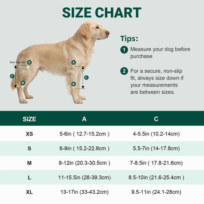 Dog Knee Brace for Back Leg, Adjustable Elbow Braces with Stabilizers, Canine Joint Support for Torn ACL, Luxating Patella, Arthritis, Ligament Injury and Post-Surgery Recovery, Universal (S) S