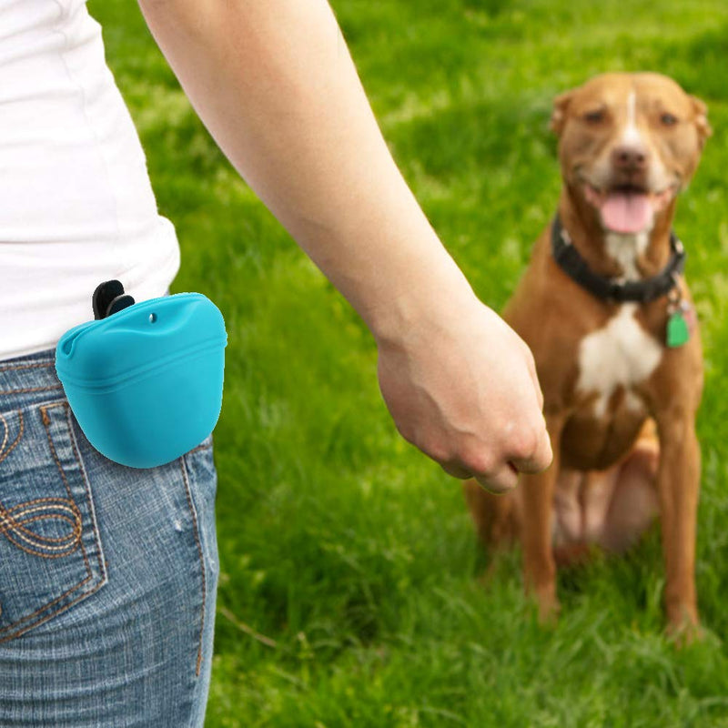 Silicone Dog Treat Pouch-Small Training Bag-Portable Dog Treat Bag for Leash with Magnetic Closure and Waist Clip[US Design Patent] dark grey