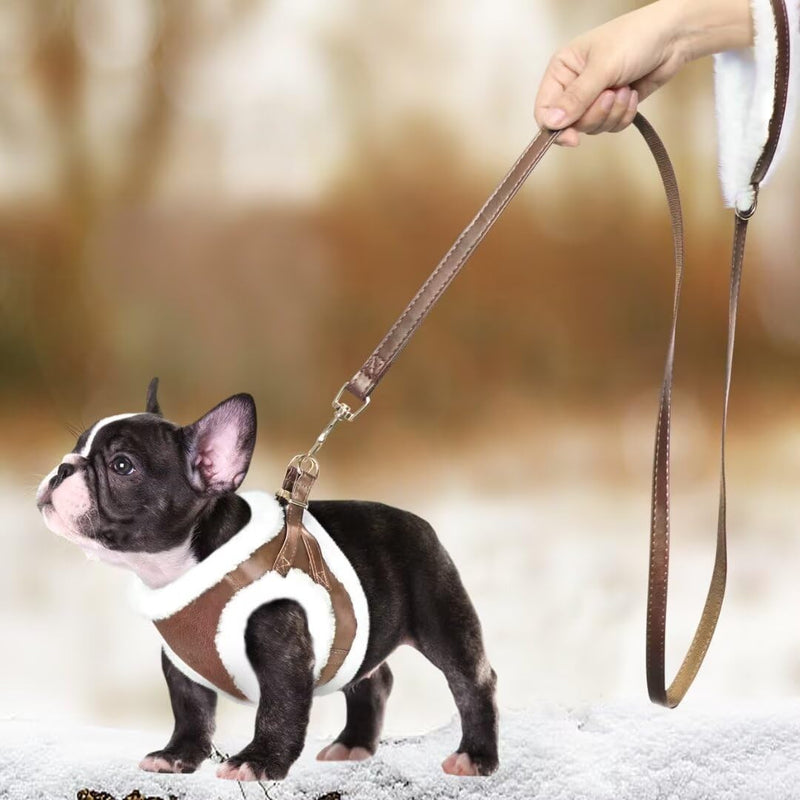 Beirui Leather Small Dog Harness and Leash Set, Soft Plush Padded Puppy Harness, Winter Warm Dog Harness, Step in No Chock No Pull Adjustable Dog Harness for Small Dog, Brown M M,Fit 16-21 lbs - PawsPlanet Australia