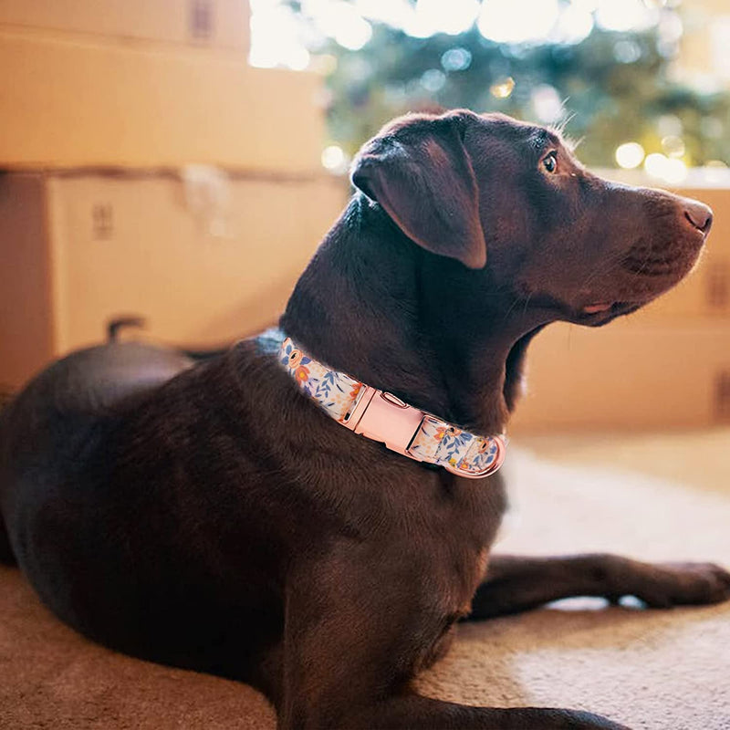 Dog Collar, Cute Flower Floral Patterns Pet Collars for Girl Female Boy Small Medium Large Dogs, Strong Rose Gold Metal Buckle, Soft Cotton Adjustable Puppy Dog Collar Green M(3/4"x 12.2-19.6") - PawsPlanet Australia