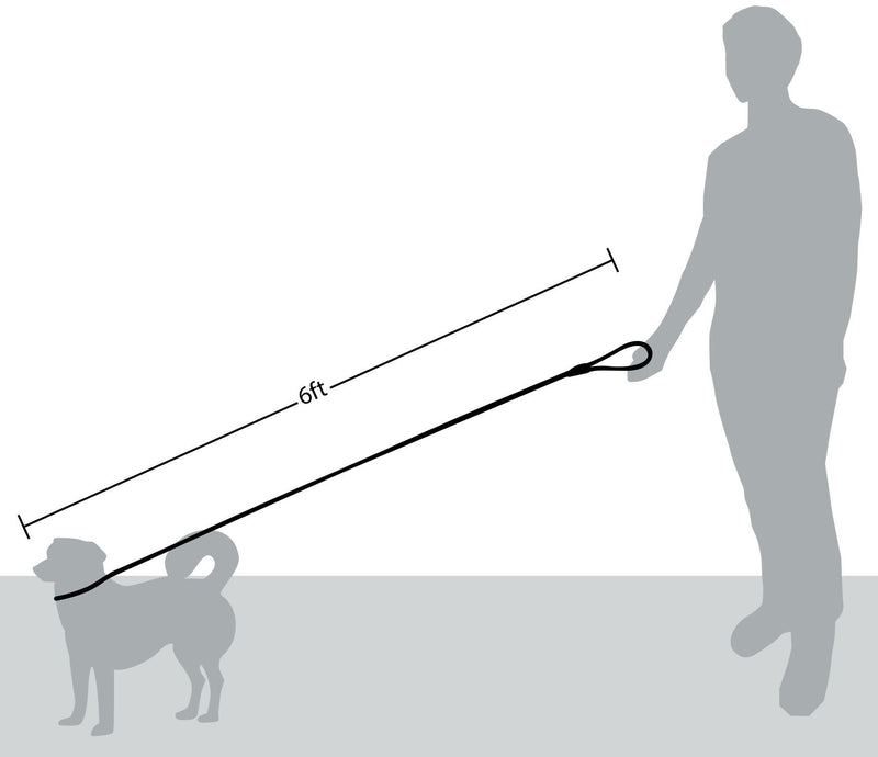 Friends Forever Extremely Durable Dog Rope Leash, Premium Quality Training Slip Lead, Reflective, Thick Heavy Duty, Sturdy, No Pull, Comfortable For The Strong Large Medium Small Pets 6 feet, Green 2. Green - PawsPlanet Australia