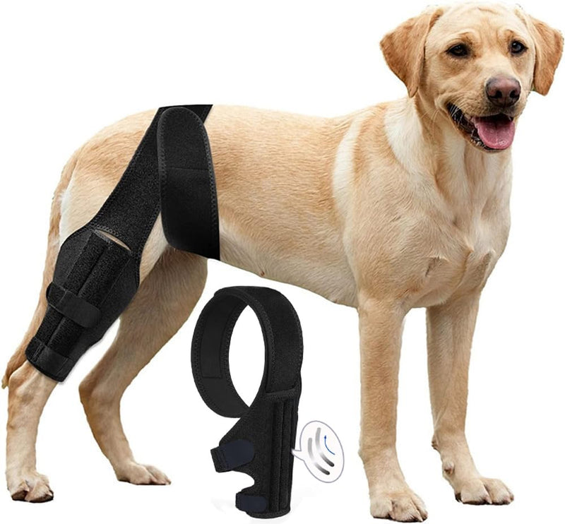 Dog Knee Brace for Torn ACL & Hind Leg Support – Adjustable Cruciate Ligament & Luxating Patella Brace for Recovery, Arthritis Relief, and Pain Reduction