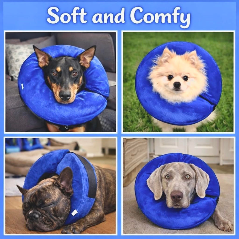 Inflatable Dog Cone Collar Alternative – Soft Recovery Donut E-Collar for Small, Medium, and Large Dogs & Cats After Surgery (Blue, L [18"-24"]) Blue L [18"-24"]