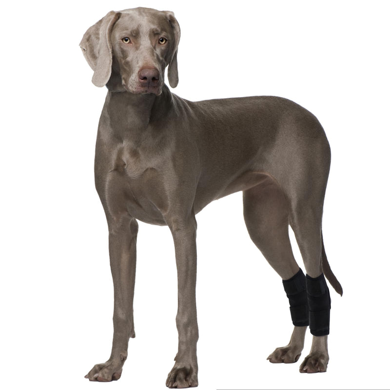 ROZKITCH Dog Leg Protector for Rear Hock Joint or Front Leg Brace, 1 Pair of Dog Leg Compression Wrap Sleeve for Anti Licking Carpal Support Ankle Support Protect Injury Sprain Torn ACL CCL Black XL X-Large - PawsPlanet Australia