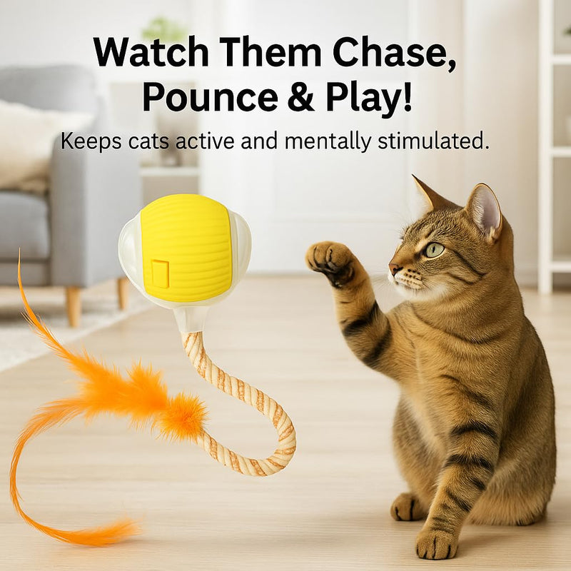 Automatic Cat Toy Ball – Rechargeable Cat Ball with Feather & Ribbon Tail – Light-Up Effects – Smart Rolling Indoor Cat Toys – Dual Speeds – Interactive Cat Toys for Kittens Yellow - PawsPlanet Australia