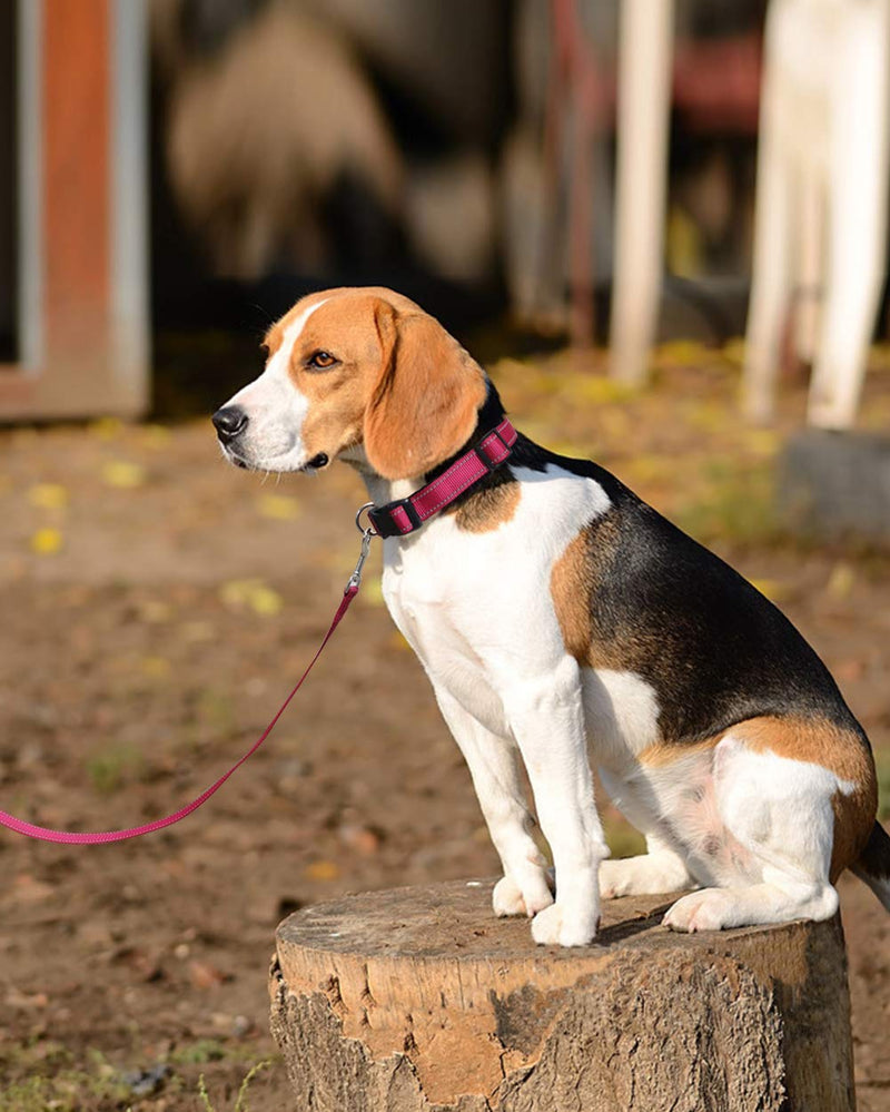 Joytale Dog Harness (Chest: 17-34"), Dog Collar and 6FT x 1" Wide Dog Leash Set, Reflective Padded Nylon Collar and Leash, Adjustable Soft Harness with Handle for Dogs - PawsPlanet Australia