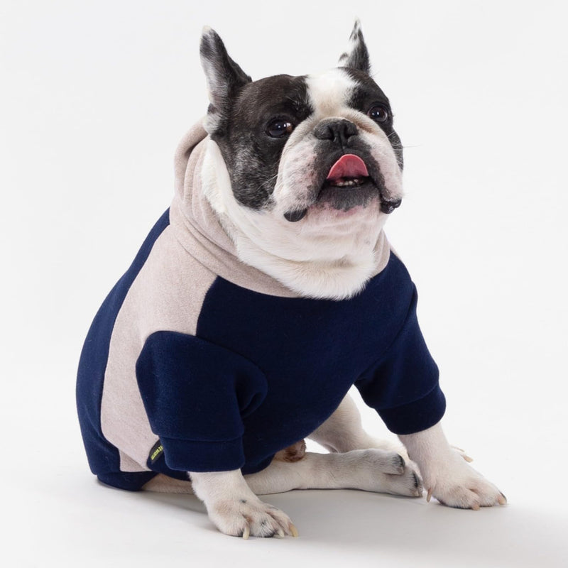Fitwarm Color Block Dog Hoodie Sweater, Winter Clothes for Small Dogs Boy Girl, Lightweight Pet Sweatshirt, Midnight Blue, Beige, XL X-Large - PawsPlanet Australia