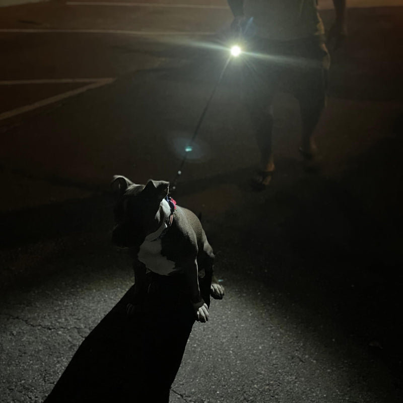 Retractable Dog Leash with LED Flashlight -16 Ft Tangle-Free Long Leash- Anti-Slip Grip - Dog Leashes for Large Dogs Heavy Duty up to 75 Lbs- One Handed Brake -Retractable Dog Leash with Light - PawsPlanet Australia