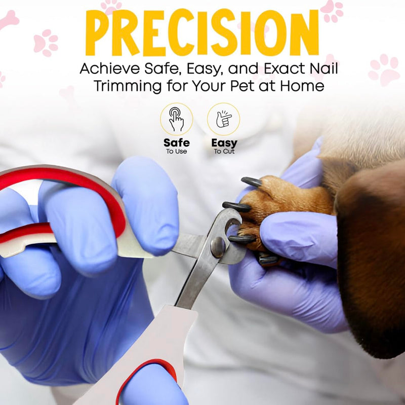 Essential Pet Supplies: Pet Collar for Small Dogs with Reflective AirTag Holder and Secure,Comfortable Padding Bundled with Safe Dog Nail Clippers and Self-Cleaning Dog Brush PINK - PawsPlanet Australia