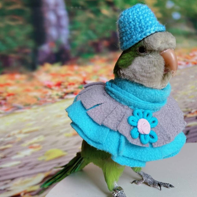Bird Collar Anti Bite Elizabethan Recovery Cone, Bird Neck Protector for Feather Plucking, Bird Neckwear Full Body Shield, Bird Outdoors Windproof Cape Color Randomly (African Grey) African Grey - PawsPlanet Australia