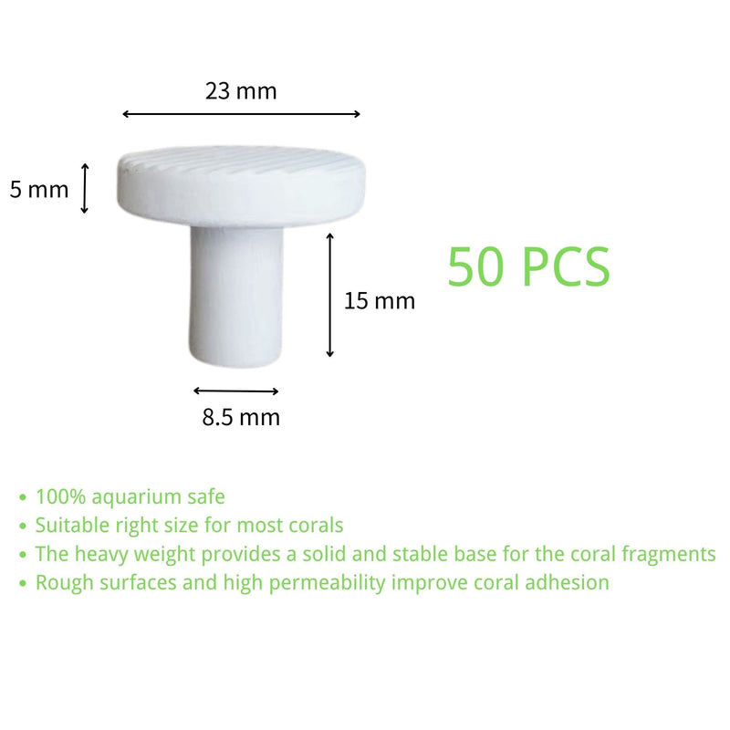 Coral Frag Plugs 50 Pcs Ceramic Coralline Frag Plug Round Base - PawsPlanet Australia